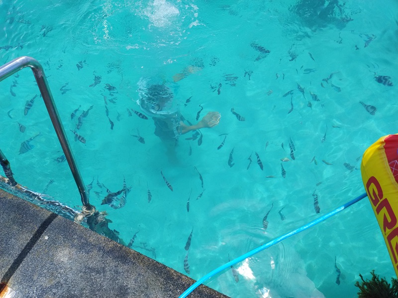 10-Underwater_walk.jpg