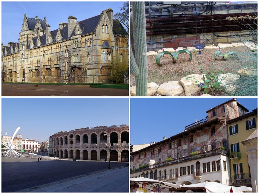 Werona Oxford.jpg