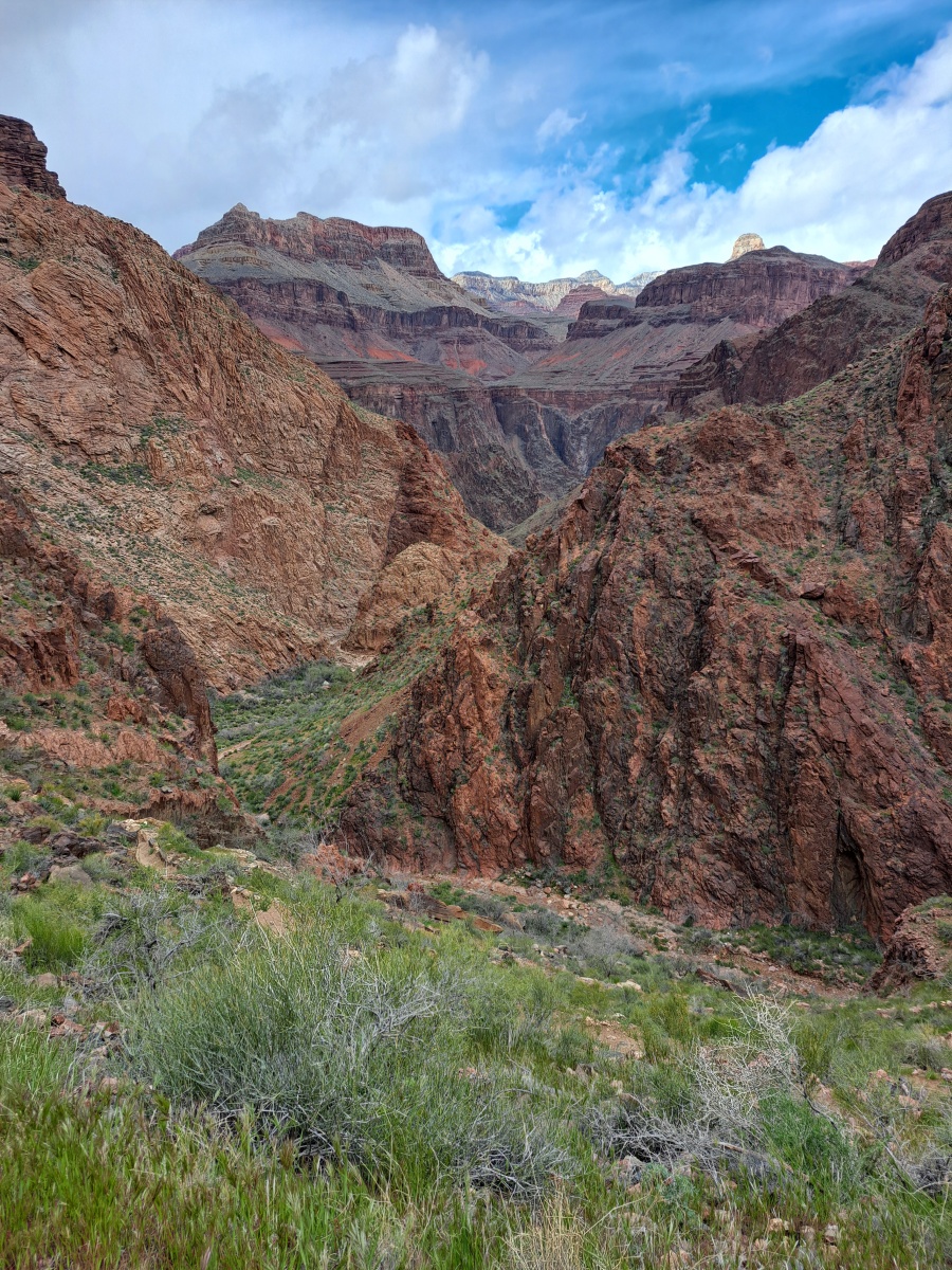 20230404_144207.jpg