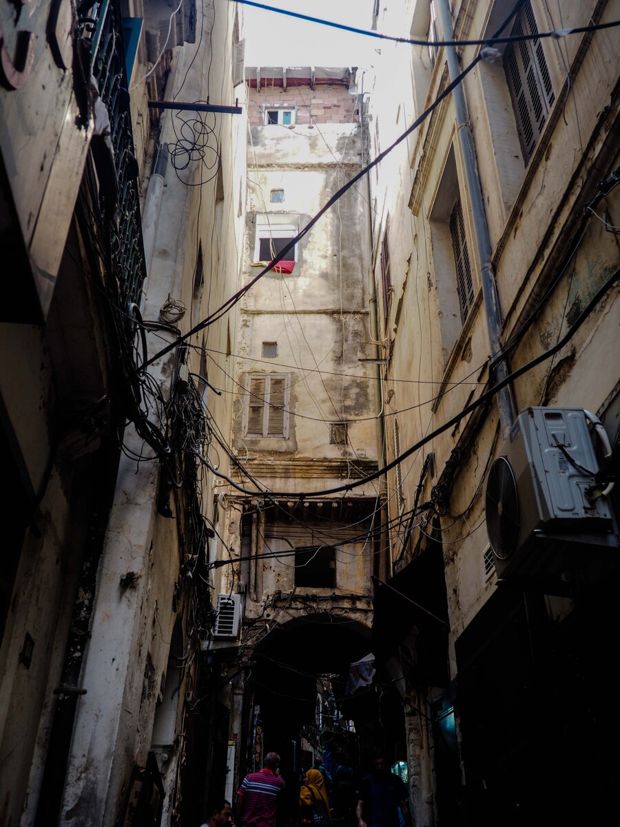 PA110325.jpg