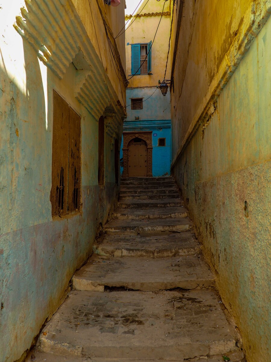 PA110344.jpg