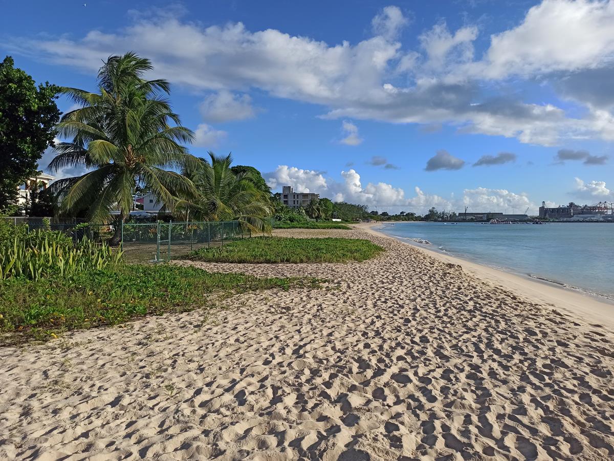 IMG_20231212_160602 (Copy).jpg