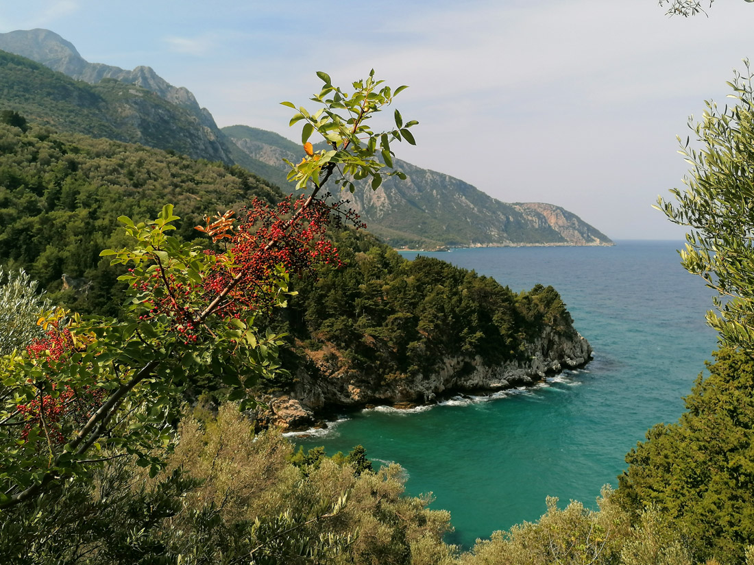 Samos2..jpg