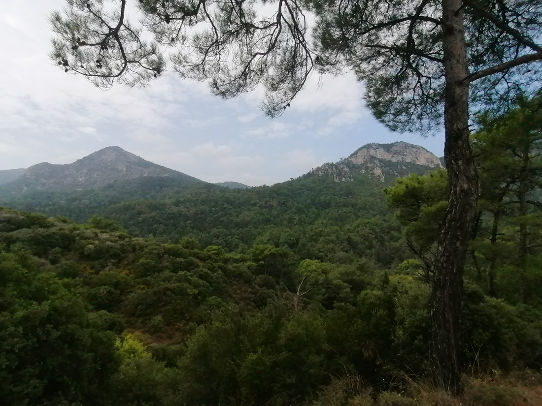 Samos..jpg