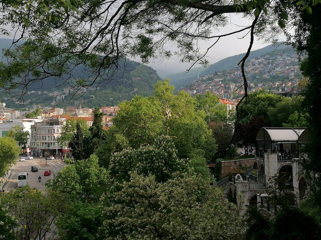 Bursa3.jpg