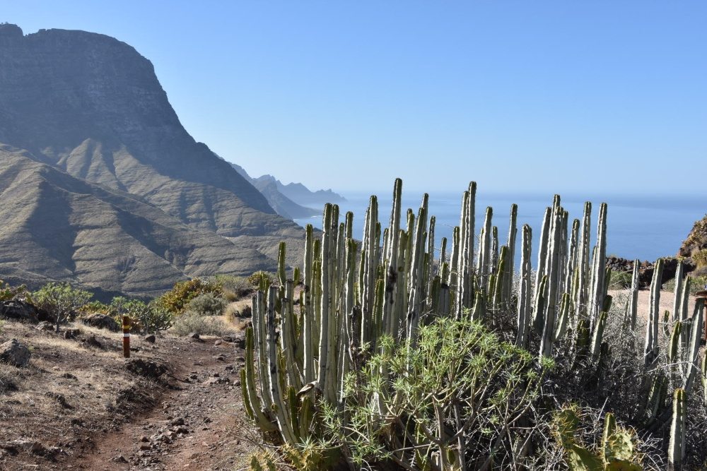 Gran Canaria.jpg