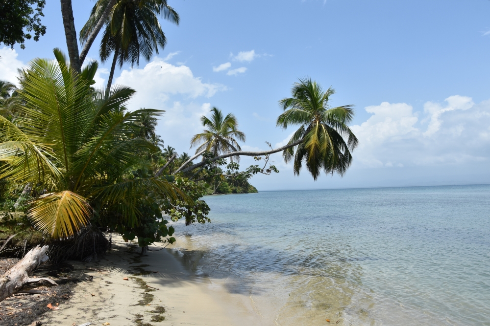 Panama.jpg