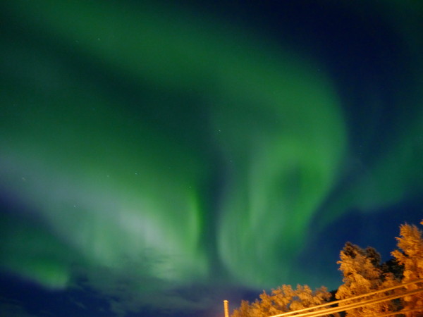P1000791.jpg