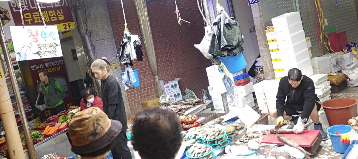 VID20231029133737 - frame at 0m16s.jpg