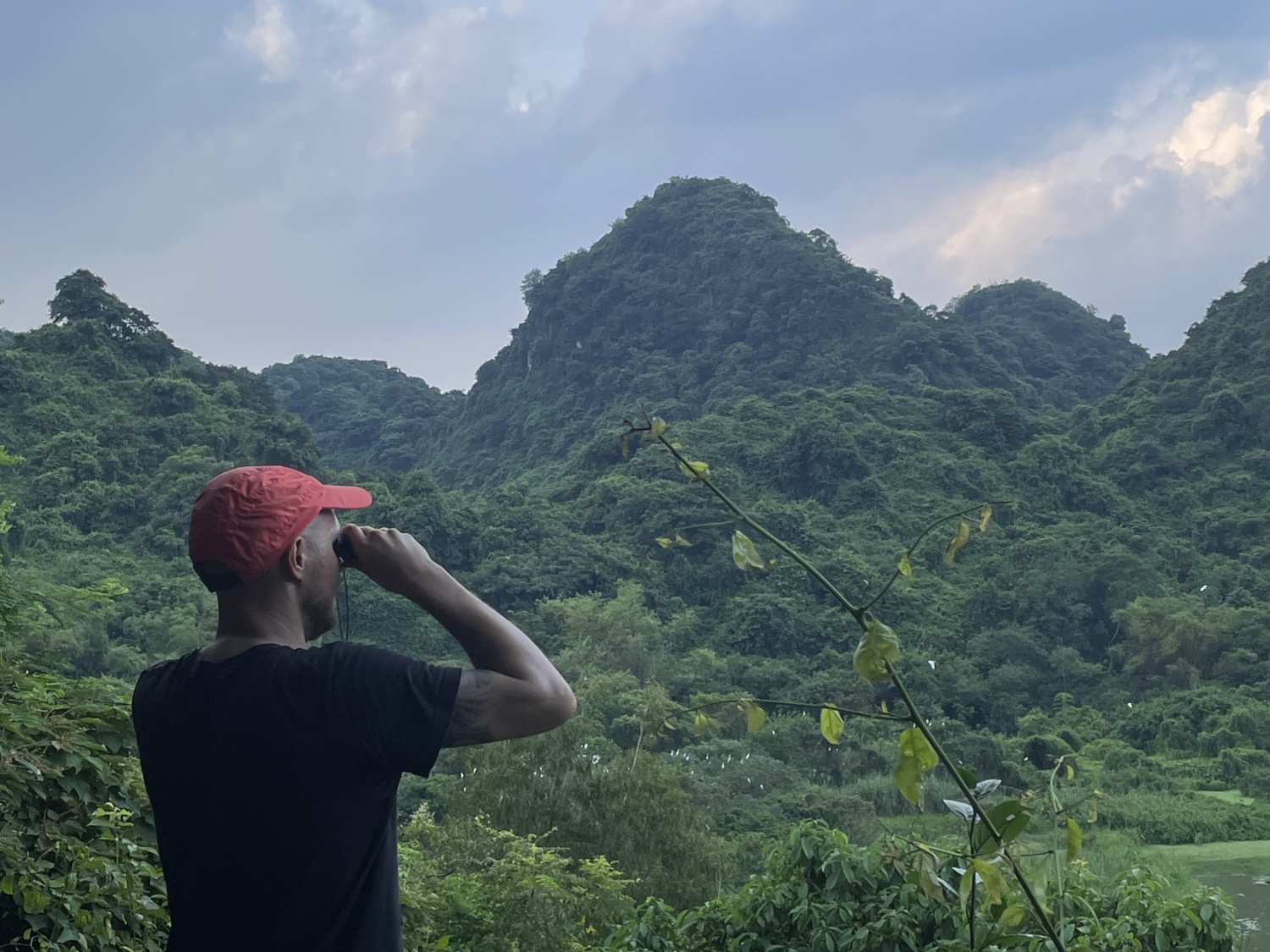 Ninh Binh.jpg