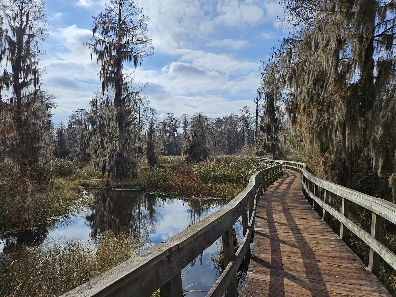 Phinizy Swamp Nature Park.jpg