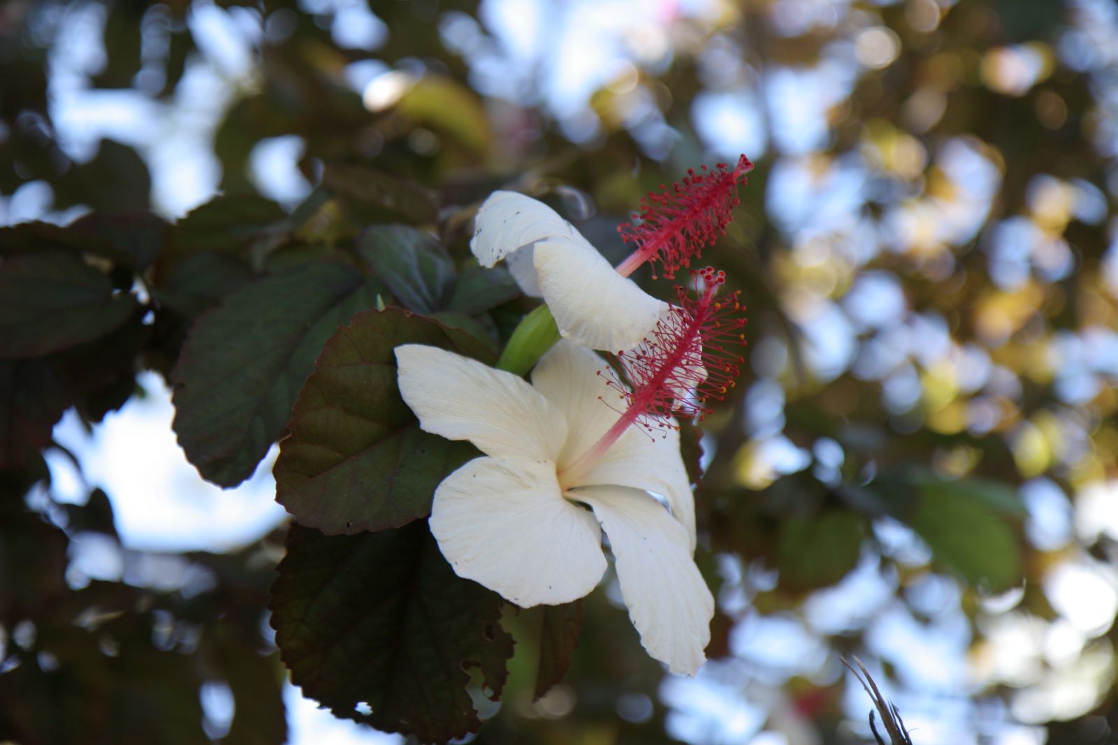 W07A.JPG