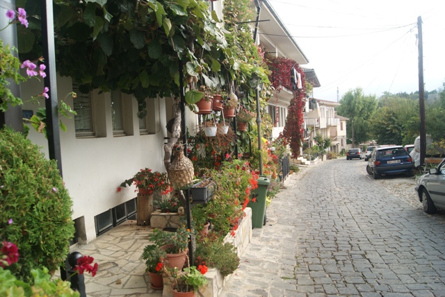 ogródek.JPG
