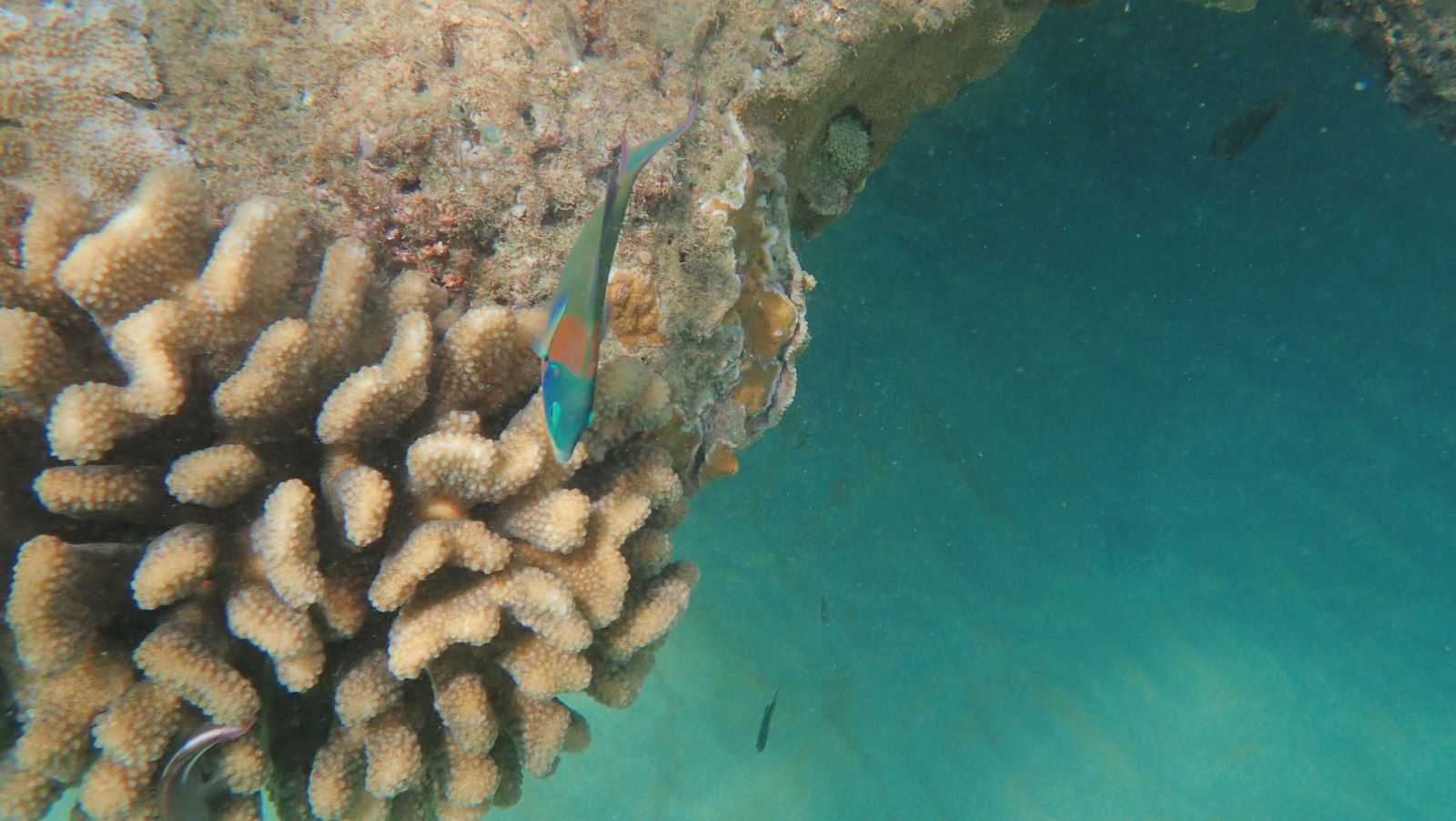 PB064764.jpg