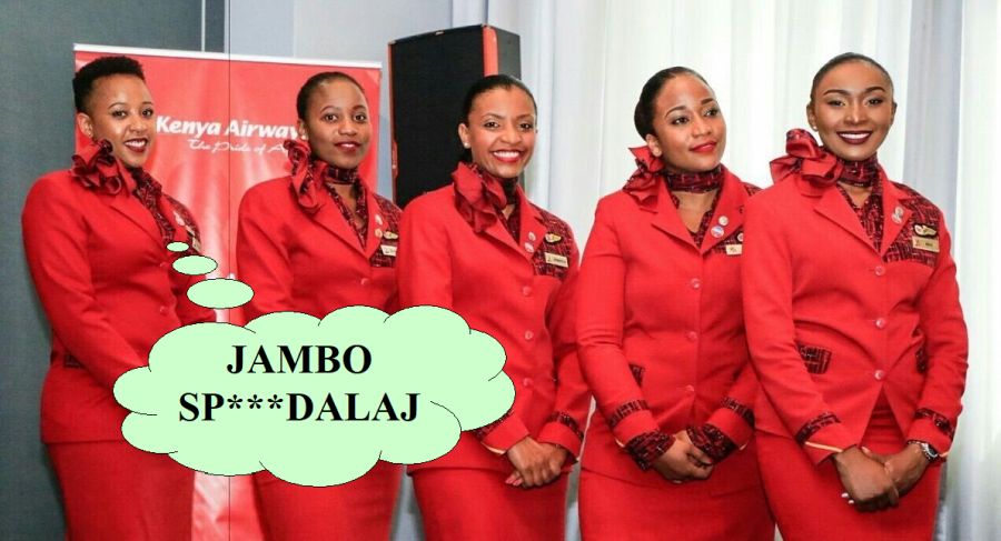 kq.jpg