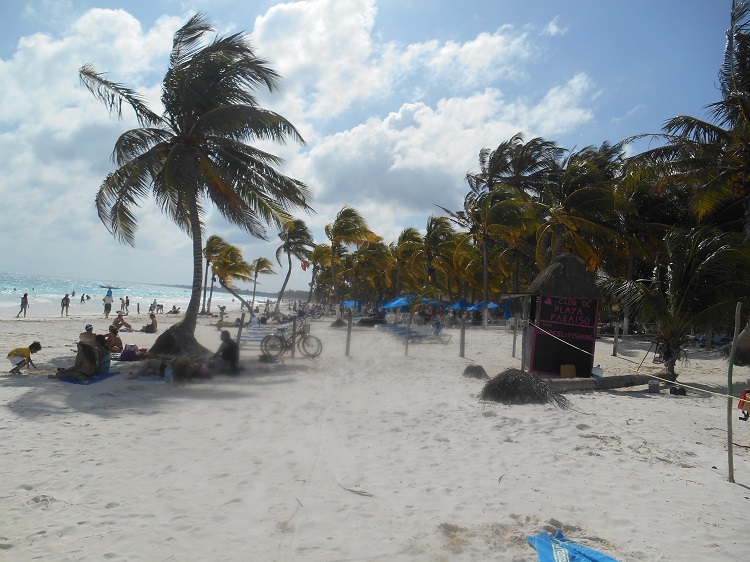 DSCN0120.jpg
