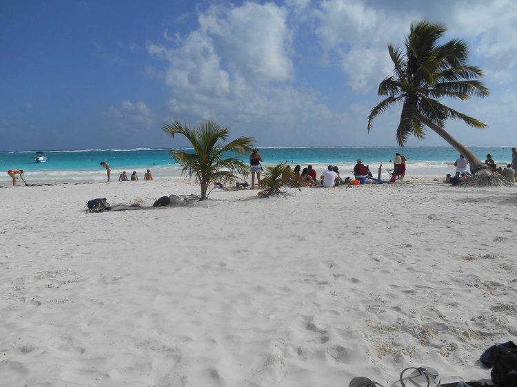 DSCN0125.jpg
