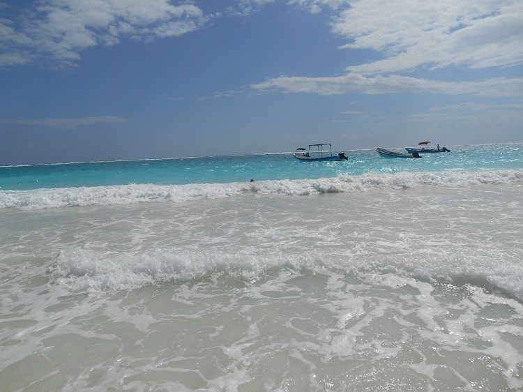 DSCN0109.jpg