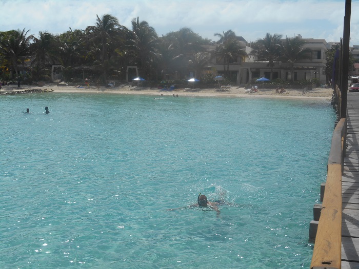 DSCN0247.jpg