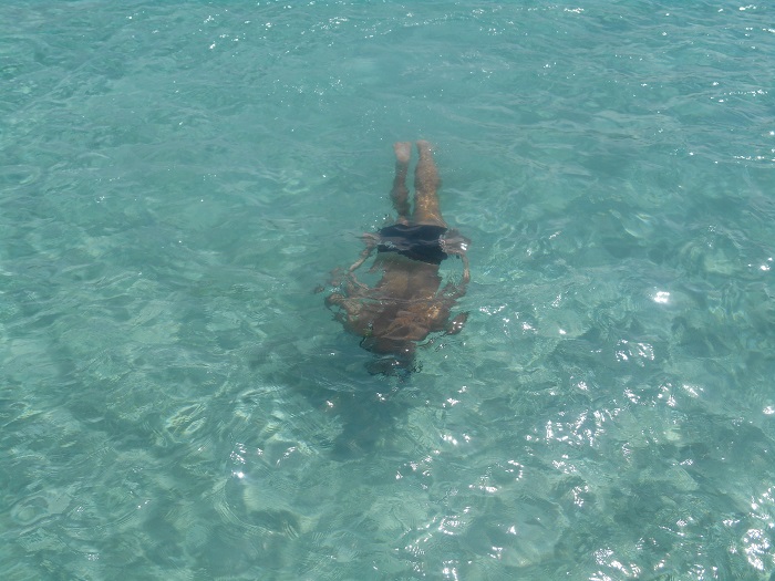 DSCN0248.jpg
