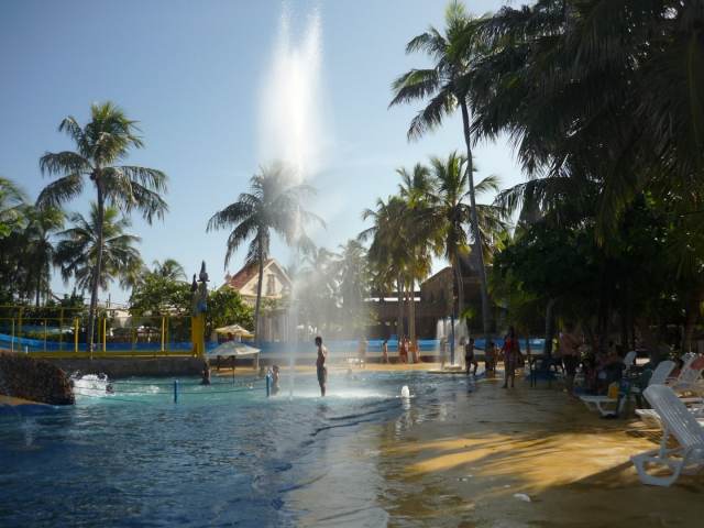 P1040201.JPG