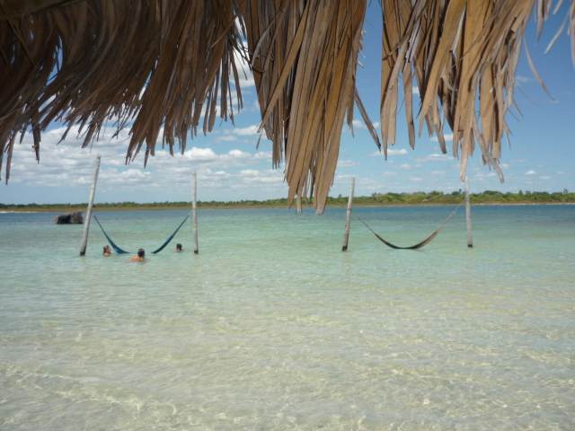 P1040008.JPG