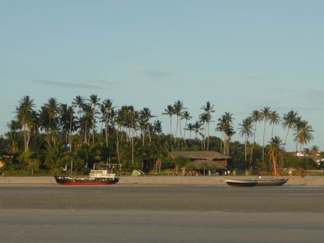 image202.JPG