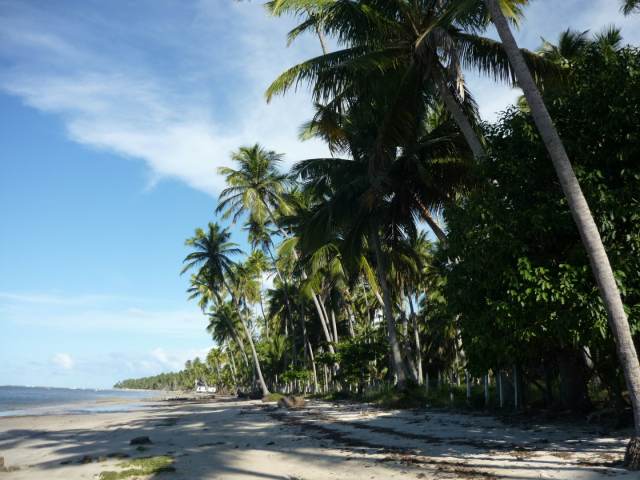 P1030508.JPG
