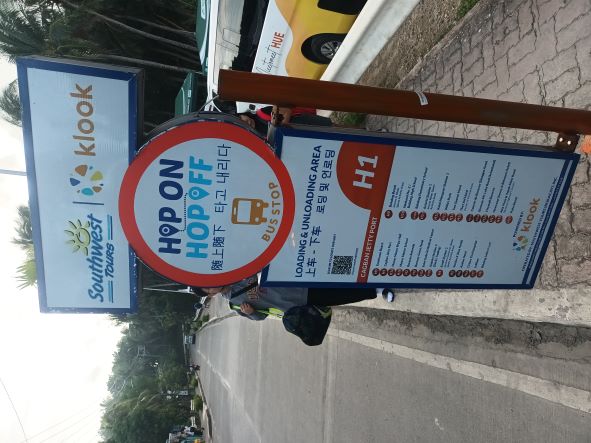 przystanek.jpg