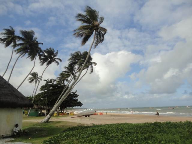 DSC01620.JPG