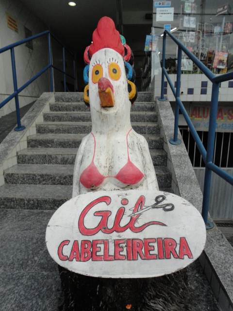 DSC01219.JPG