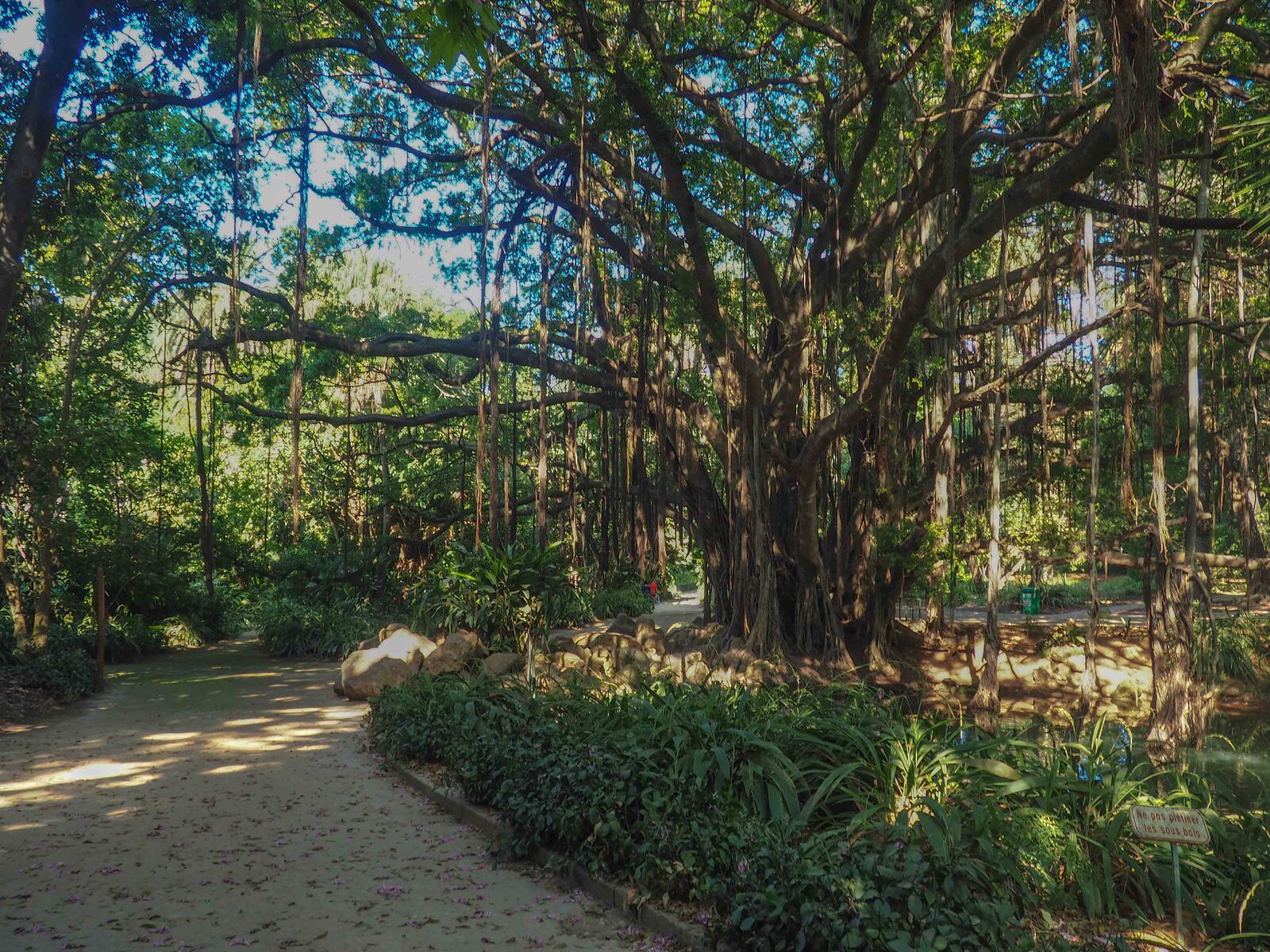 PA110390.jpg