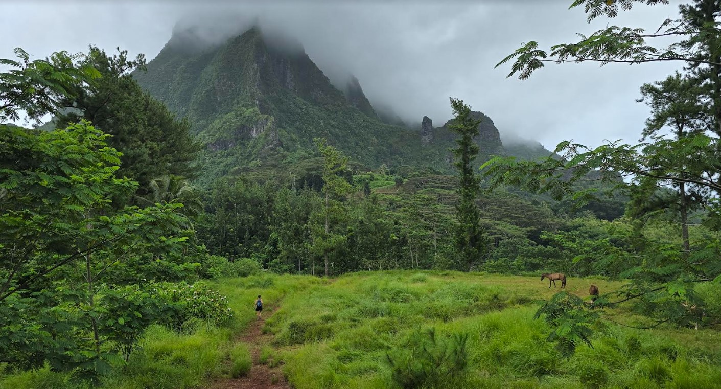 moorea2.jpg