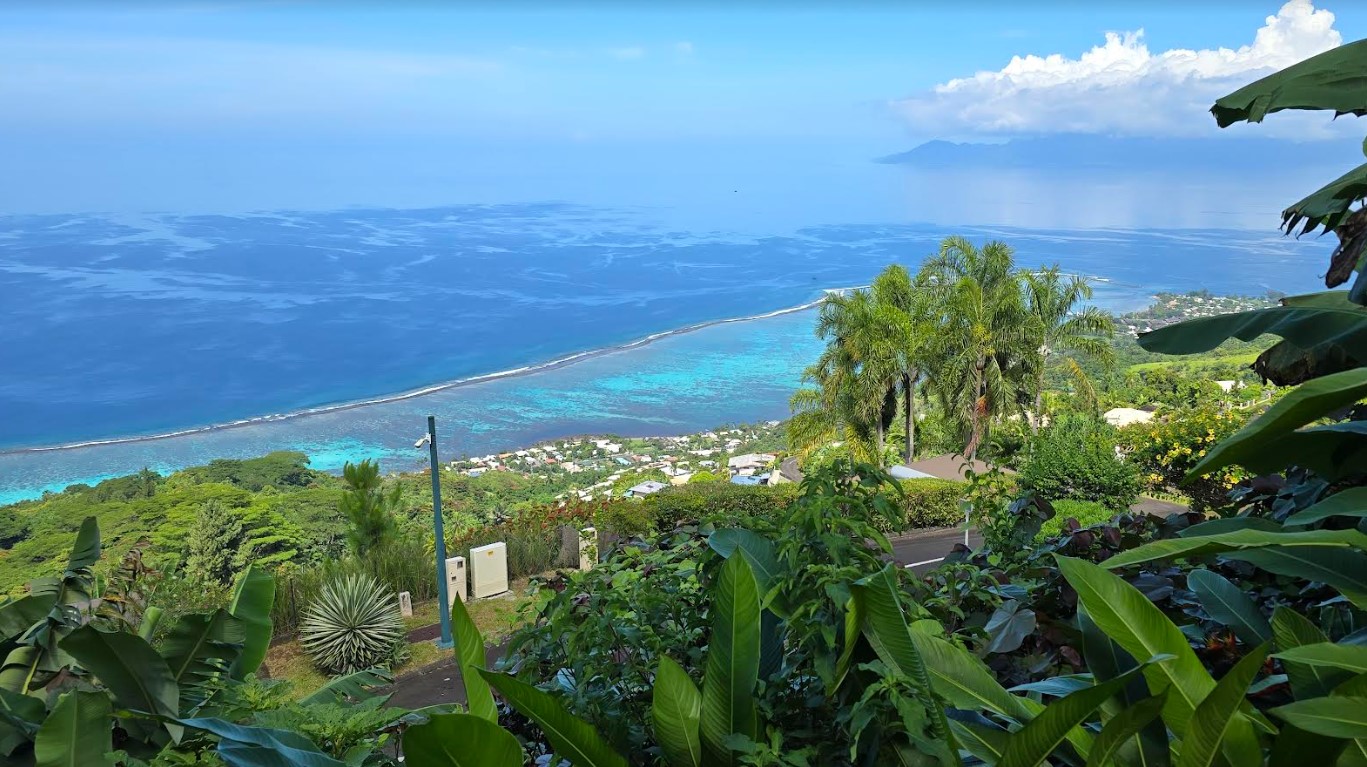 tahiti3.jpg