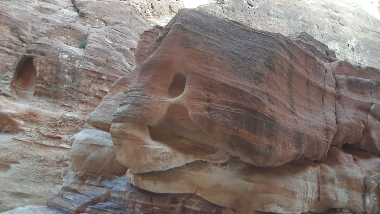 jordania_ryba.jpg