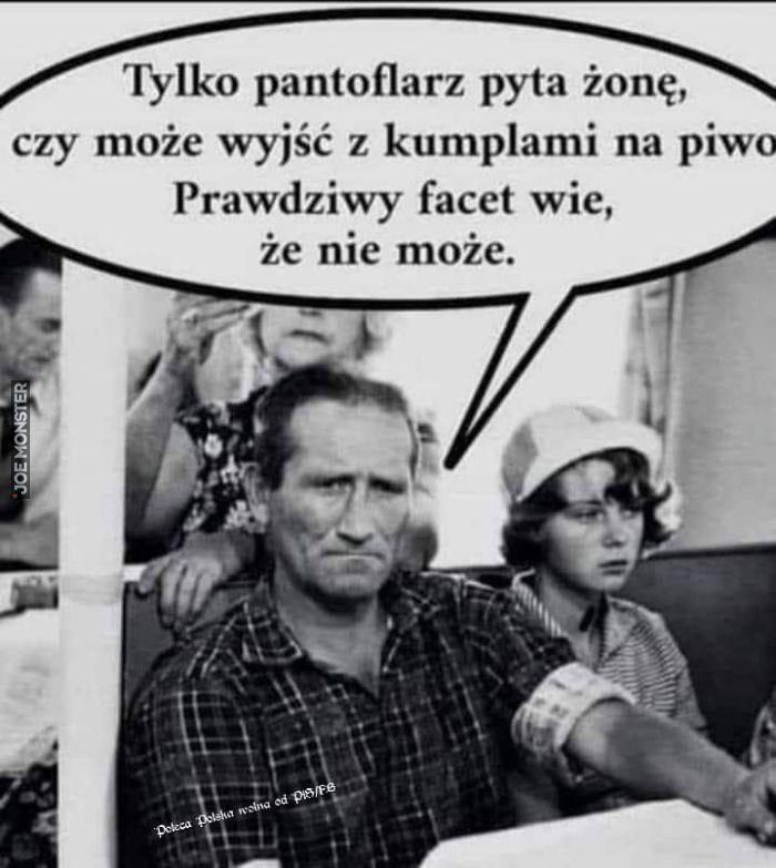 main_12samiec_alfa.jpg