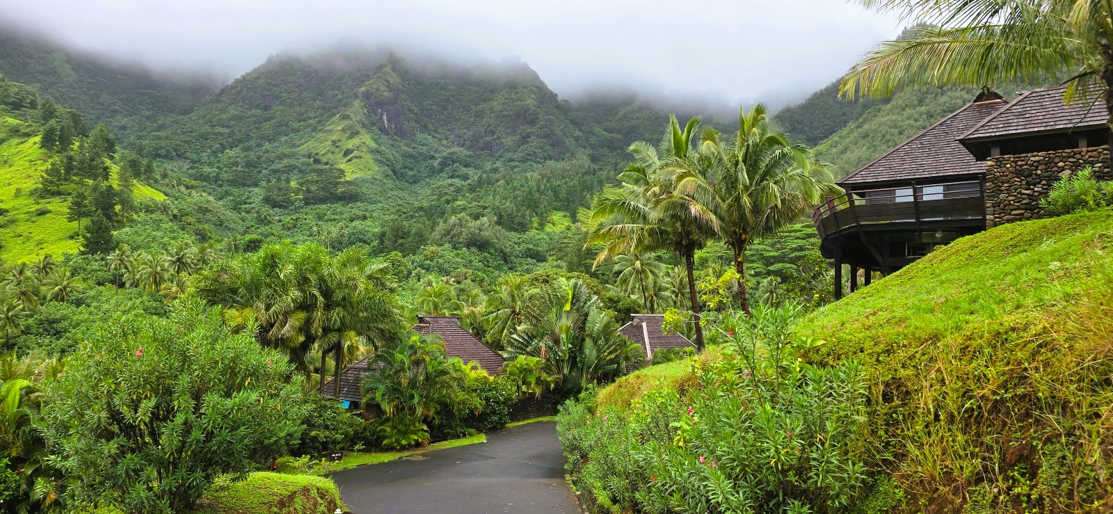 m6.jpg