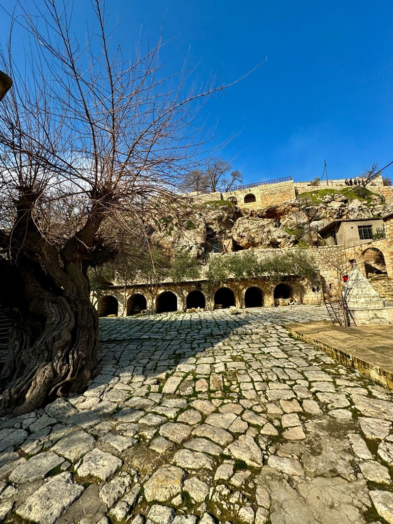 lalish5.jpeg