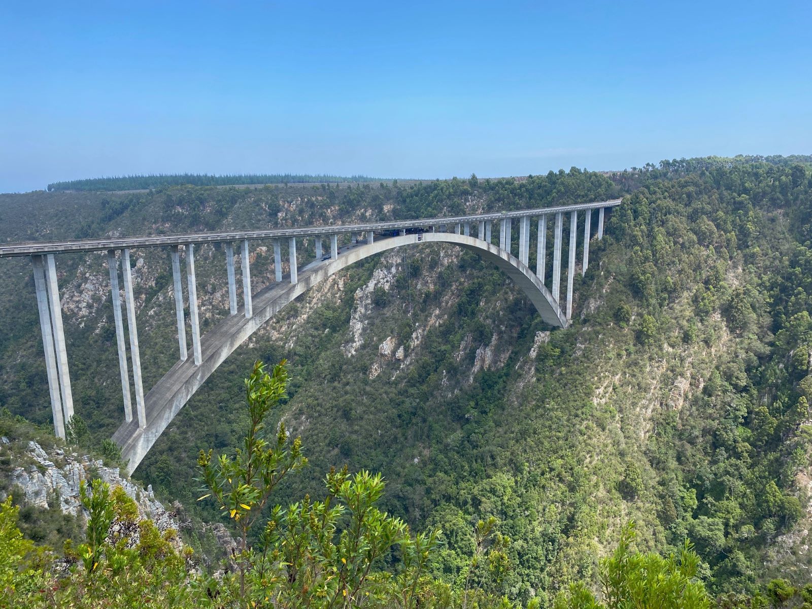 Bloukrans bungy.jpg