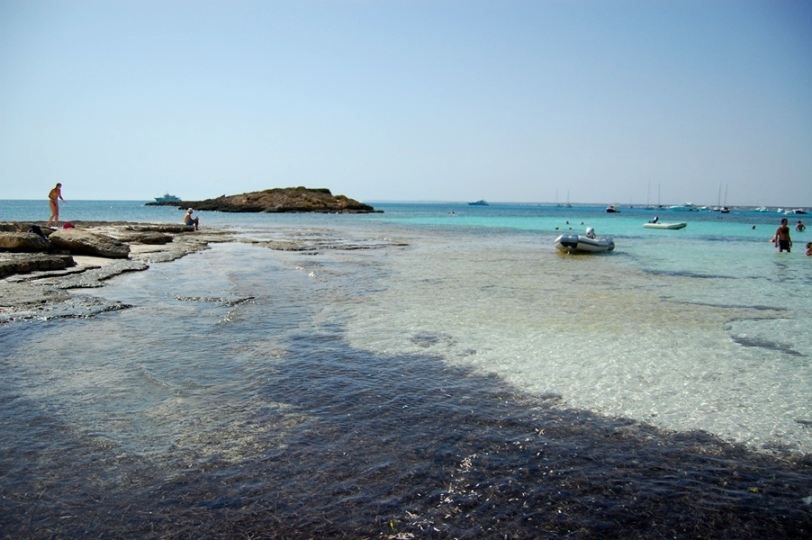 DSC_5804zmn.jpg
