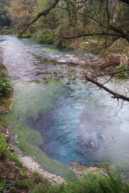 wywierzysko Blue Eye.JPG