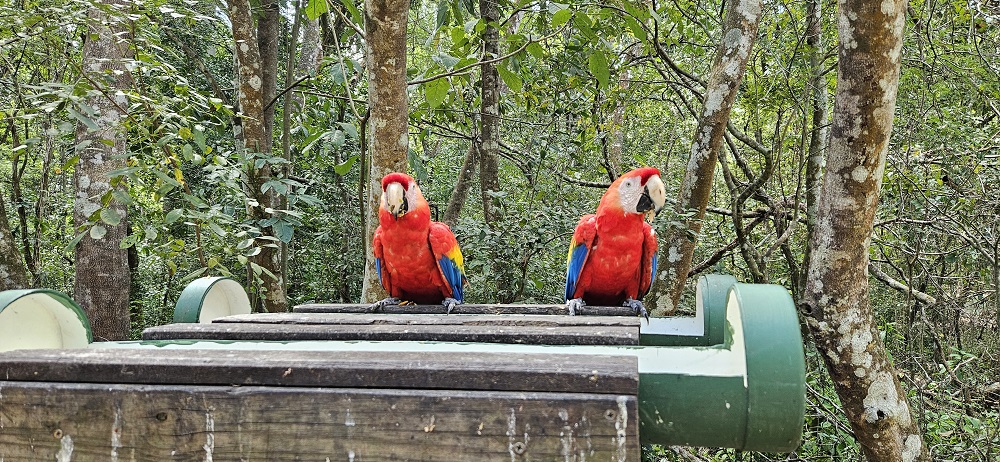 RuinasdeCopan1.jpg