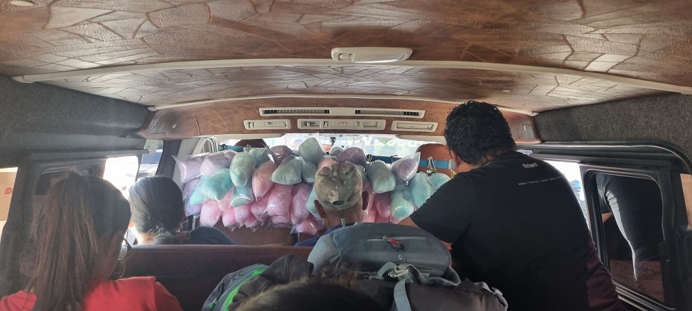 colectivo_wata_cukrowa.jpg