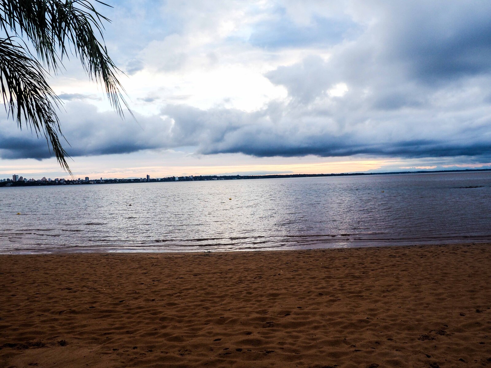 P2290084.jpg