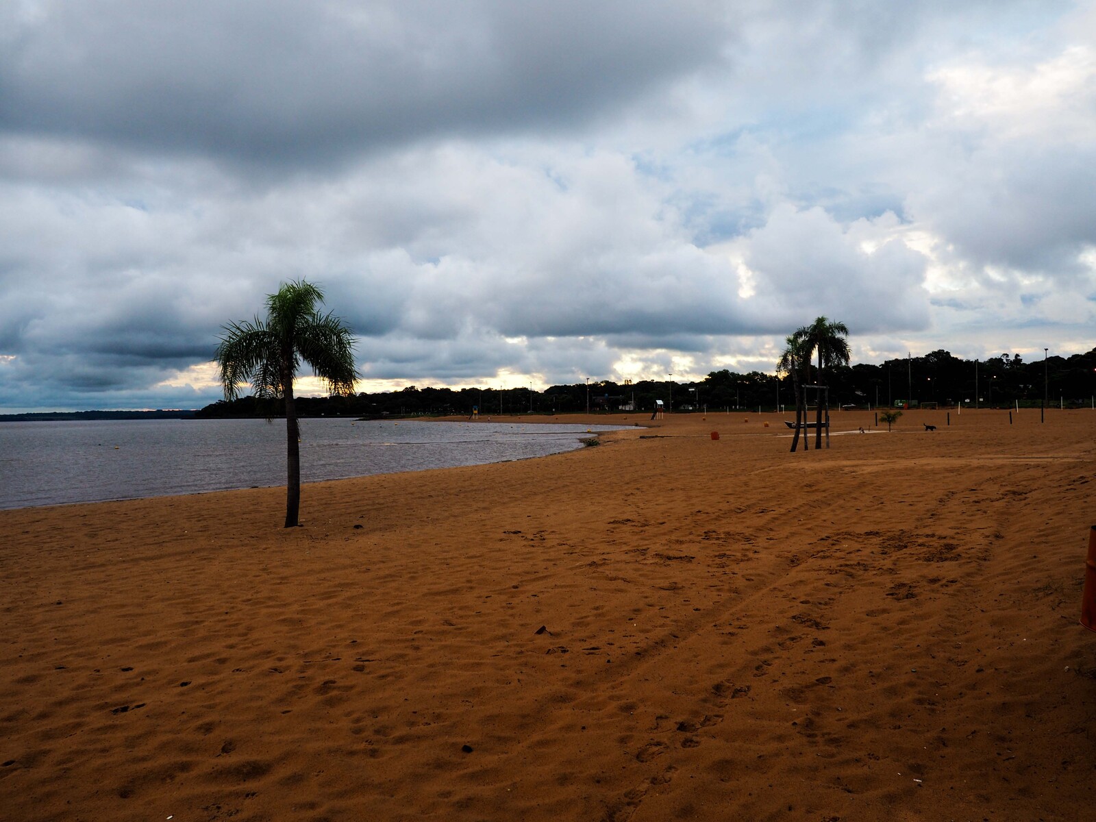 P2290085.jpg