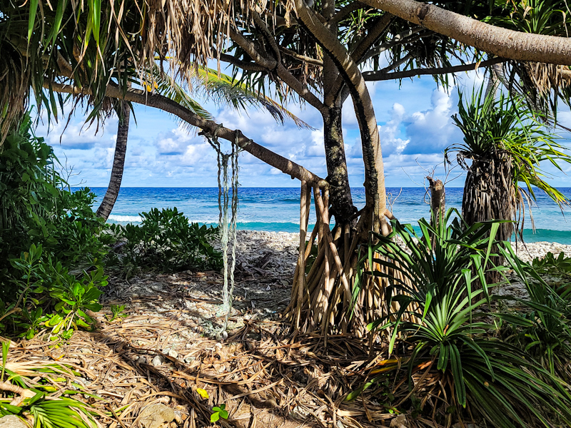 shore1.jpg