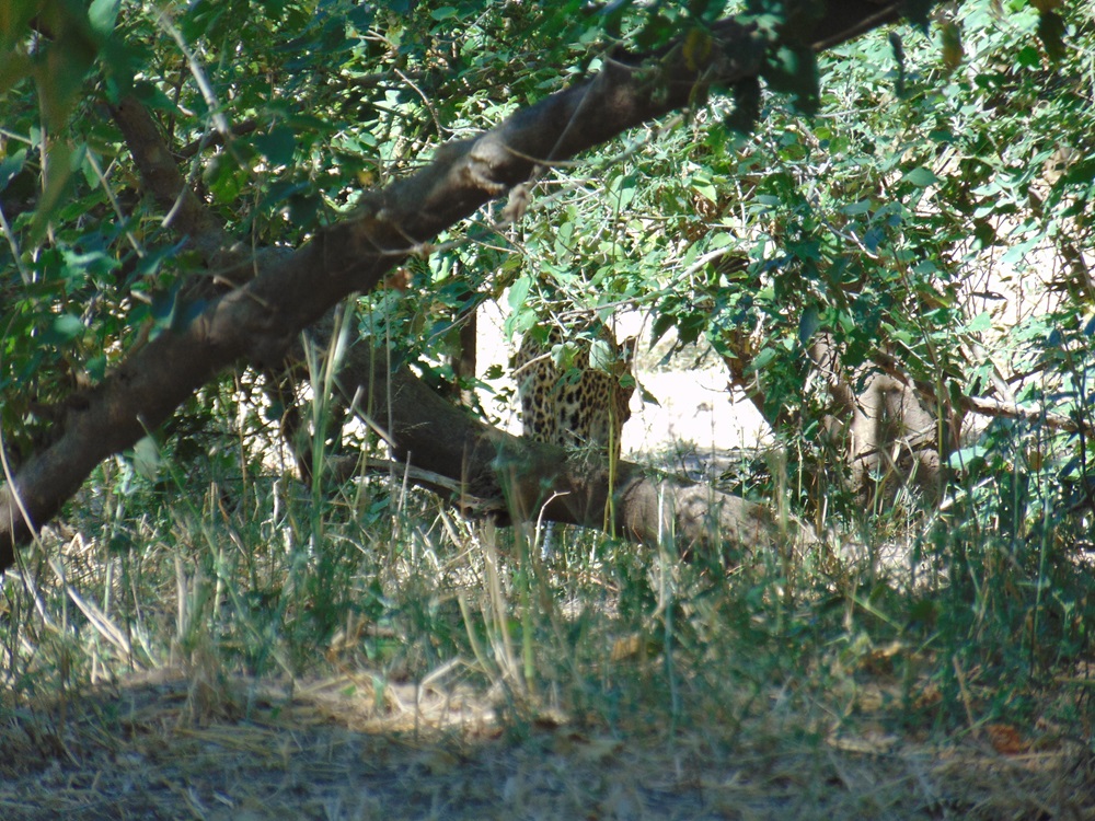 DSC03971.JPG