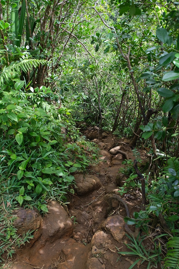 DSCF7297.JPG
