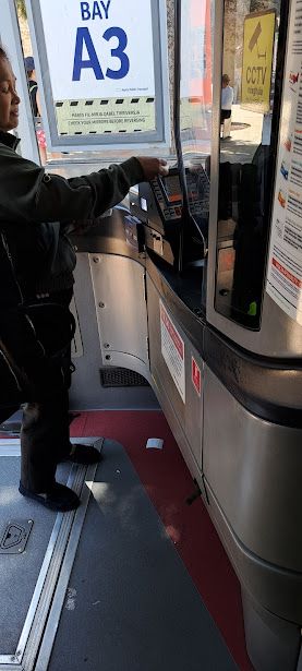 Bus02.jpg