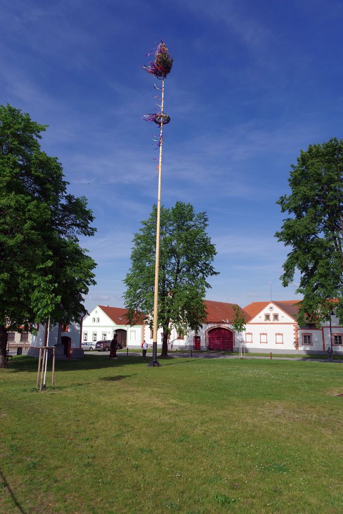54.CK.JPG